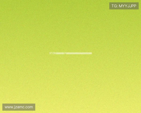 IP138网站：精准查询IP地址归属地、域名解析、网络测速等综合服务平台